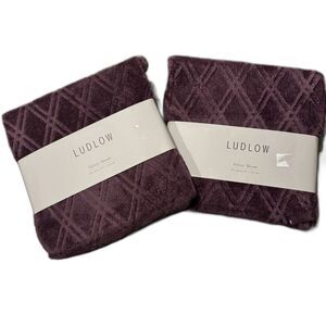 NWT Ludlow Velvet Throw Blanket Set of 2 Deep Purple Lightweight 50x60 Cozy